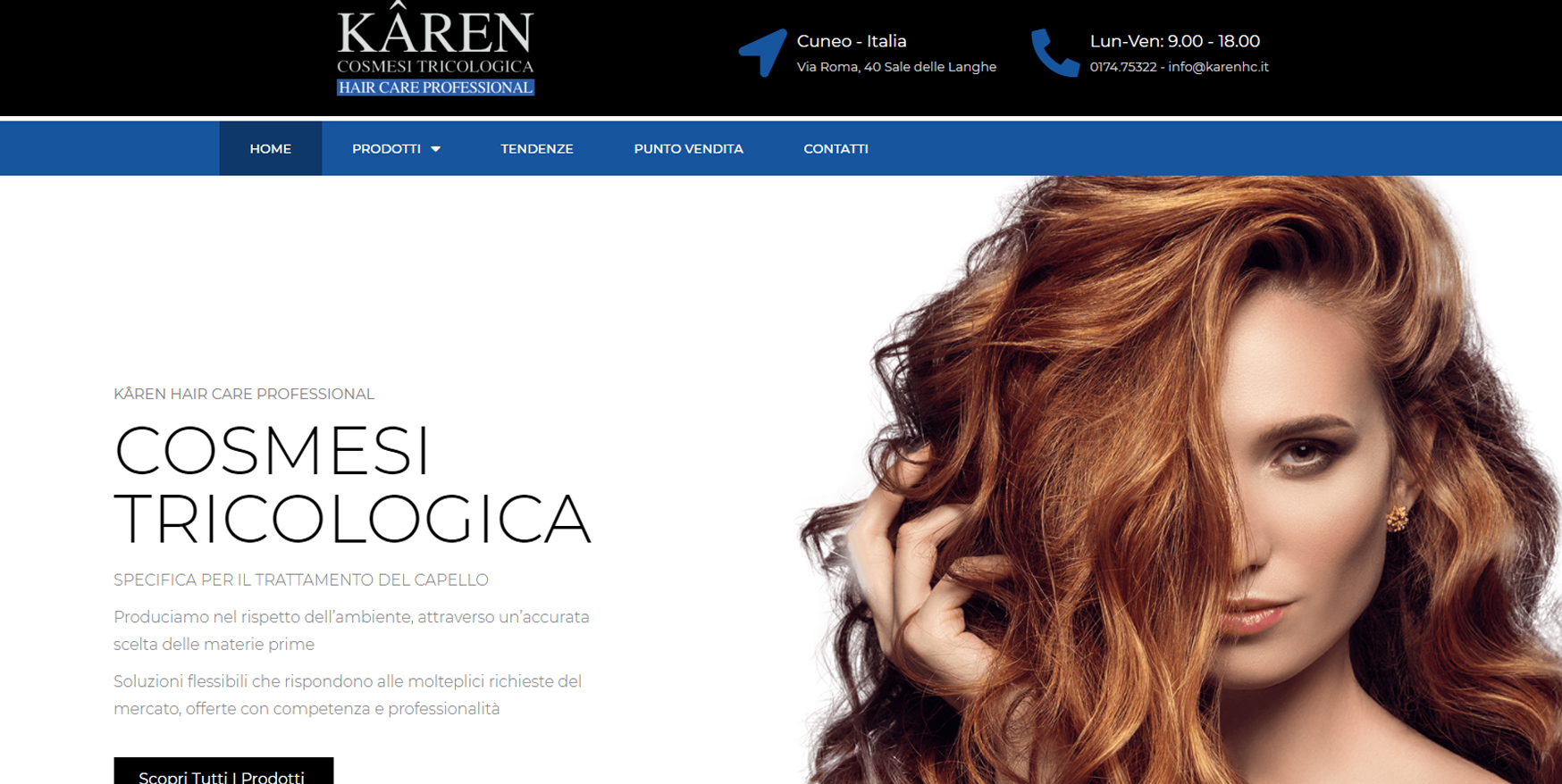 Business strategy - portfolio - karenhc